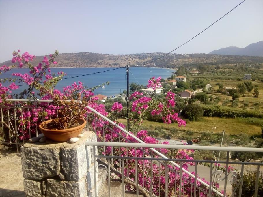 דירות Ageranos Kamares View מראה חיצוני תמונה